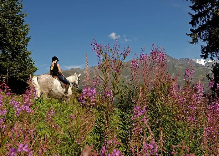 Appartamento Hurlebise 8 *